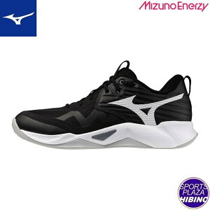 ~Ym(mizuno) o[{[V[Y WAVE MOMENTUM PRO EG[u[^ V[Y (25aw) ubN×zCg V1GA254054