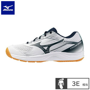 �~�Y�m(mizuno) �o���[�{�[���V���[�Y �T�C�N�����X�s�[�h 5 Jr. �W���j�A �V���[�Y (25ss) �z���C�g×�l�C�r�[ V1GD251057�ySS2609�z