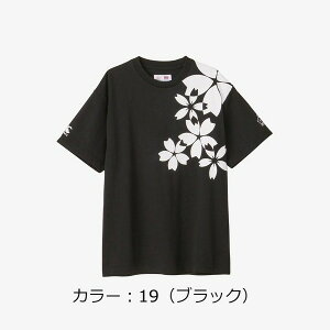 J^x[(canterbury) WpV[gX[uXyNe[^[eB[ Vc (23SS) ubN RA33777-19u0927vySS2509z