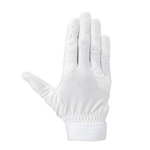 ~Ym (MIZUNO) N싅 K` Ep WjA Z싅[Ήf (25aw) zCg×zCg JS-JL 1EJEY32110 1EJEY321-10