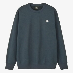 UEm[XEtFCX (THE NORTH FACE) AEghAEGA X[SwU[XEFbgN[ jZbNX (25aw) A[olCr[ M-XL NT62532-UN