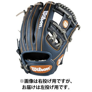 EB\ (wilson) 싅 dO[u D-MAX DUAL 86^ fA p (25aw) lCr[ TCY11.5 p WBW103863