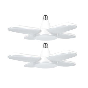 Jornarshar K[WCg LED y_ gCg  80W 6000lm LEDd 6500K VƖ tȒP Hsv px߉\ Ԍ q [ Ɠ F 2