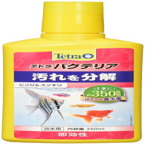 eg (Tetra) oNeA 250~bg ̉𕪉邨|oNeAY ͂炭Pʋ ɂXbL ۑ\ Mы  _Jp