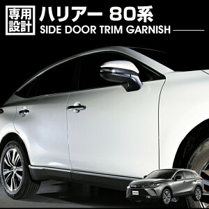 nA[ 80n 2020(R2).6 - TChhAgK[jbV N[ Vo[ J[{ JX^ hXAbv J[p[c J[pi O GNXeA 