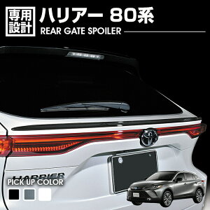 nA[ 80n 2020(R2).6 - AQ[gX|C[ ubN zCgp[ J[{ JX^ J[p[c J[pi ԗpi hXAbv GNXeA O