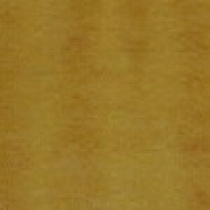 GXeB} 50n 1`3^ 2006(H18).1 - 2016(H28).6 XeAO ؖ ؖ sAmubN nh K/m[}Obv JX^ hXAbv 