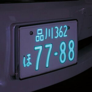 【車検対応】「LEDパーフェクト」 字光式ナンバー用照明器具 12V普通車専用 2枚セット 品番:2026