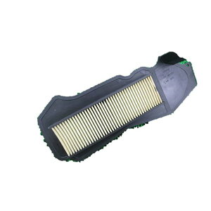 �z���_ �g�D�f�C�����G�A�t�B���^�[ AF67�^�p 17213-GFC-770