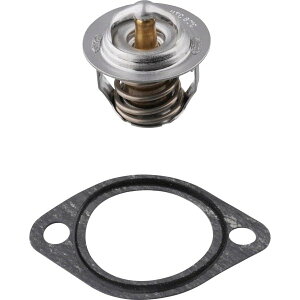 SUZUKI (XYL) i@T[X^bg@i17600-85811@}c_OEM@iԁFAZ10-15-171