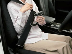 g^pi@NE NXI[o[@ TZSH35 AZSH35 V[gxgpbhi^Cv2j@0822C-00010