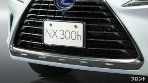 LEXUS レクサス 純正 アクセサリー パーツ NX300 NX300h ナンバーフレーム(フロント・リヤ)ロックボルト※適用タイプ要確認 テレーンカーキマイカメタリック