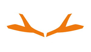 JETCmEG@ACCtB@f20L^[@Ao[@590498