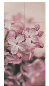 LIXILGRJbgZtECSF-1260S/301x[XV[g300pGRJbg8x[XV[g8dʁF9.5kg1@FW606×H1212݁F6.5[J[yzzFԏns