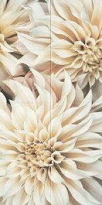 LIXILGRJbgZtECSF-1260S/114x[XV[g300pGRJbg8x[XV[g8dʁF9.5kg1@FW606×H1212݁F6.5[J[yzzFԏns