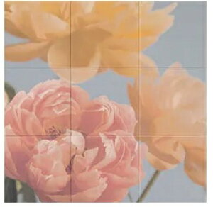 LIXILGRJbgZtECSF-9090S/120300pGRJbg9x[XV[g9dʁF10.5kg1@F@FW909×H909݁F6.5[J[yzzFԏn.s