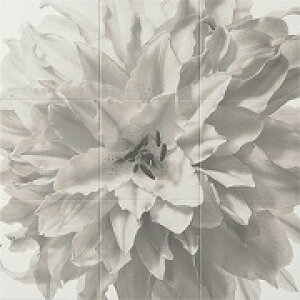 LIXILGRJbgZtECSF-9090S/14300pGRJbg9x[XV[g9dʁF10.5kg1@FW909×H909݁F6.5[J[syzzFԏn