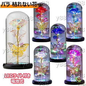 �o�� �͂�Ȃ��� ���� �K�N �S�[���h���b�L���[�Y �t�����[���C�g LED���C�g�t�� �d�r�� �ԑ� �v���[���g�o�� �L���L�� �K���X�h�[�� �N���X�}�X �o�����^�C���f�[ �t�����[ �v���[���g ���