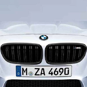 BMW���� M Performance �u���b�N�E�L�h�j�[�E�O�����iF10 M5�j
