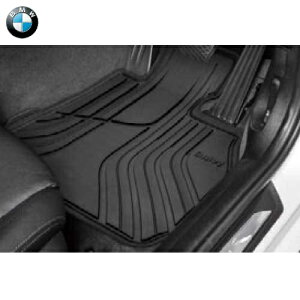 BMW I[EEFU[EtAE}bgEZbgiStandardj(tg)iEnhԗpj(F36)