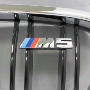 BMW "M5" Gu(F10 M5)