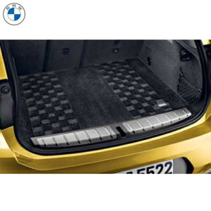 BMW Q[WE[E}bg"VM[" (ubN) (F39 X2)