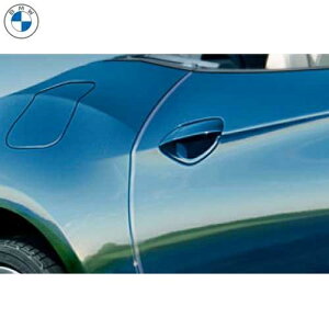 BMW hAGbWEveNV (E89)