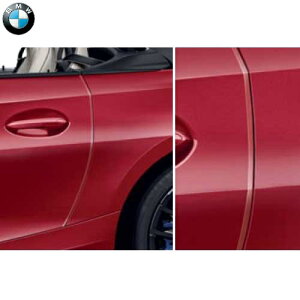 BMW���� �h�A�E�G�b�W�E�v���e�N�V����(G29)
