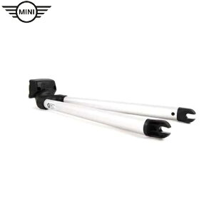 MINI tgEzC[Ez_[(TCNLA)(F60)