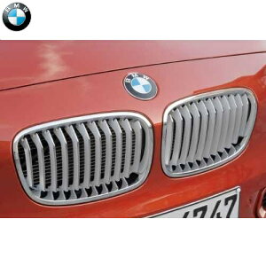 BMW Lhj[EO(F20)(`2015/02 Yԗp)(Style)