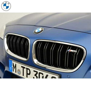 BMW���� �t�����g �O���� (F10 M5) (����^) (�i�C�g�r�W�����񑕔��ԗp)
