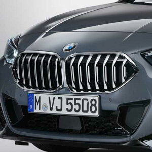 BMW Lhj[EO (Luxury) (F44)