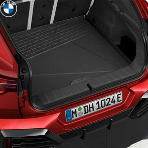 BMW QbWE[E}bg (ubN) (U10)