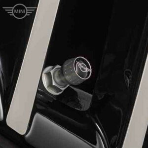 MINI GAEouELbv (A~) ECOS^Cv (RDCp)