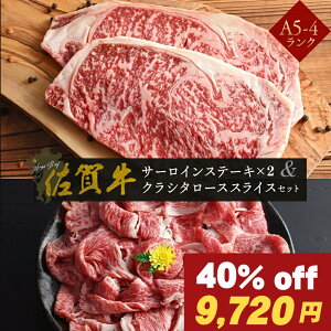 y Ԍ 40 j ꋍ T[CXe[L 160g ×2 NV^ [X XCX 400g Zbg [X ~ A5 ~ A4 N   a Ă Ԃ v[g Hו 