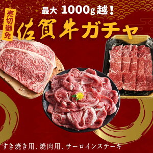 y Ԍ肨ȍꋍK` j ꋍ T[CXe[L 160g ×2 NV^ [X XCX 400g Zbg [X ~ A5 ~ A4 N   a Ă Ԃ v[