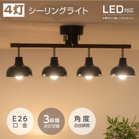 シーリングライト おしゃれ ペンダントライト LED 対応 かわいい 北欧 6畳 8畳 照明 間接照明 天井照明 モダン シンプル リビング カフェ風 スポットライト 4灯 居間用 ダイニング用 食卓用 子供部屋 lsld4-14