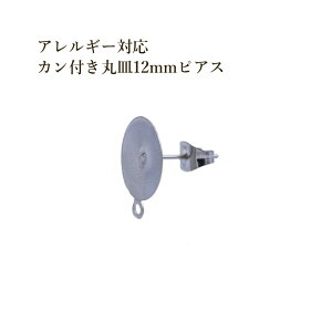 [10] Jt ێM12mm sAX [  Vo[ ] T[WJXeX Lb`t p[c A