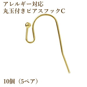 [10] ۋʕt sAXtbN Cm S[h  n T[WJXeXp[c f  AM[Ή