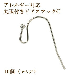 [10] ۋʕt sAXtbN Cm  Vo[ n T[WJXeXp[c f  AM[Ή