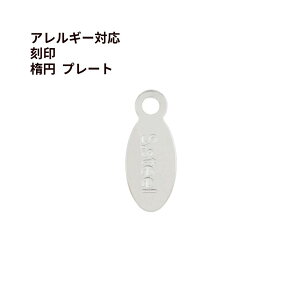 [10] 316 ^O v[g Jt ȉ~ 10mm  m  Vo[ n T[WJXeX lbNX p[c AM[ Ή M1-03