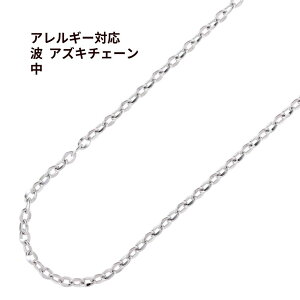 * g * `F[ *  6.3×9mm * m  Vo[ n T[WJXeX `F[ AYL`F[ p[c AM[Ή C1-01
