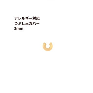 [10] 316 m Ԃ * Jo[ * n * 3mm * m S[h  n T[WJXeX JV ANZT[ p[c AM[Ή M1-06