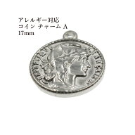 [ 10個 ] サージカルステンレス コイン チャーム A《 17mm 》 [ 銀 シルバー ] パーツ 金属アレルギー対応