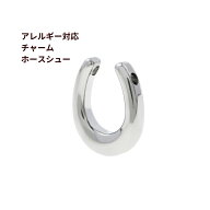 [5個] サージカルステンレス チャーム ホースシュー [ 銀 シルバー ] 馬蹄 パーツ 金属アレルギー対応