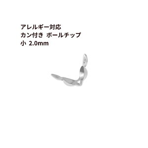 * Jt * {[`bv   2.0mm  m  Vo[ n T[WJXeX _}`bv r[Y lbNX M1-06 f p[c AM[Ή
