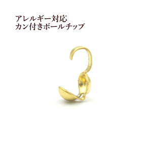 [10] {[`bv m S[h  n T[WJXeX _}`bv r[Y lbNX M1-06 ANZT[ p[c AM[Ή