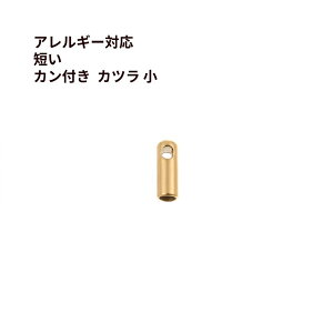 [10] * Z * Jt * Jc *  [ S[h  ] T[WJXeX R vR q Ghp[c AM[Ή M1-05