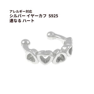 [ 1 ] Vo[ C[Jt S925 * AȂ n[g * m  Vo[ n ANZT[ p[c AM[Ή  ɂȂ E1-07