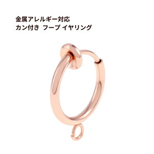 Jt t[vCO m sNS[h n T[WJXeX f p[c AM[Ή E1-04